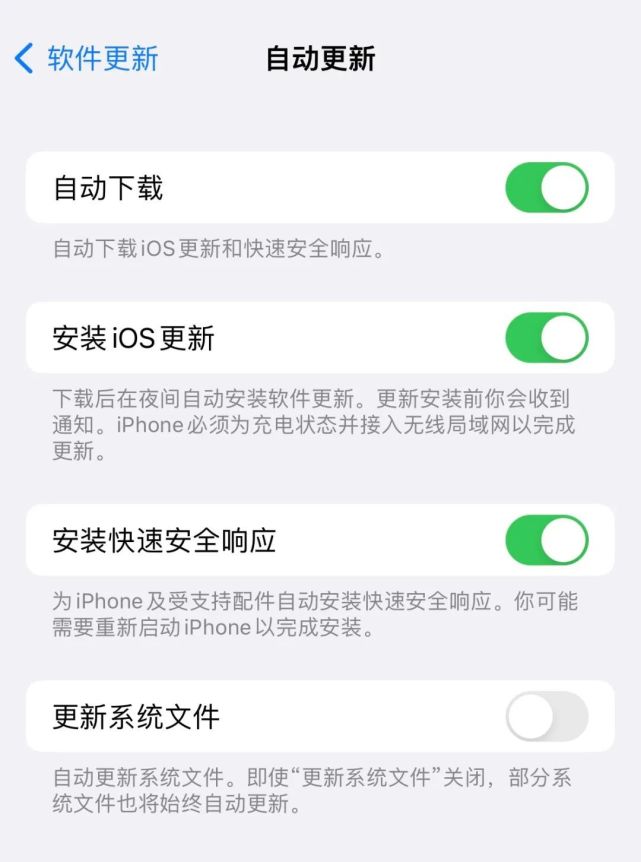 南乐苹果手机维修分享苹果快速安全响应更新有必要安装吗 